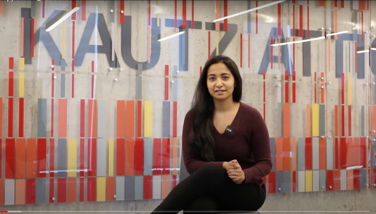 vinitha-kautz-attic vinitha-kautz-attic