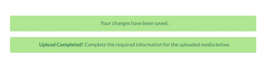 Screenshot of video submission saving and confirmation page